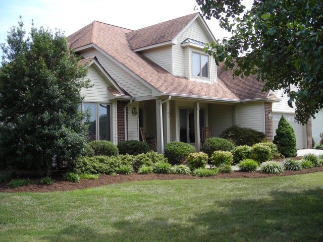 Main View