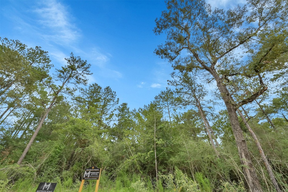 19853 Whispering Creek Trail, Magnolia, TX 77355 - photo 1