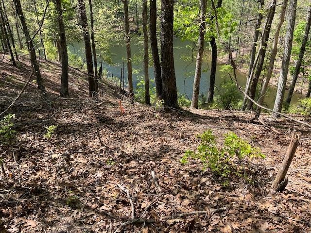 102 Westminster Dr, Oxford, MS 38655 - photo 1