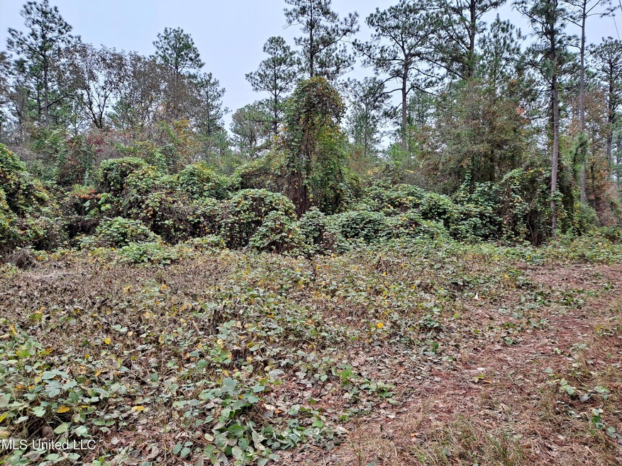 0 1 Acre Hwy 612, Lucedale, MS 39452 - photo 1
