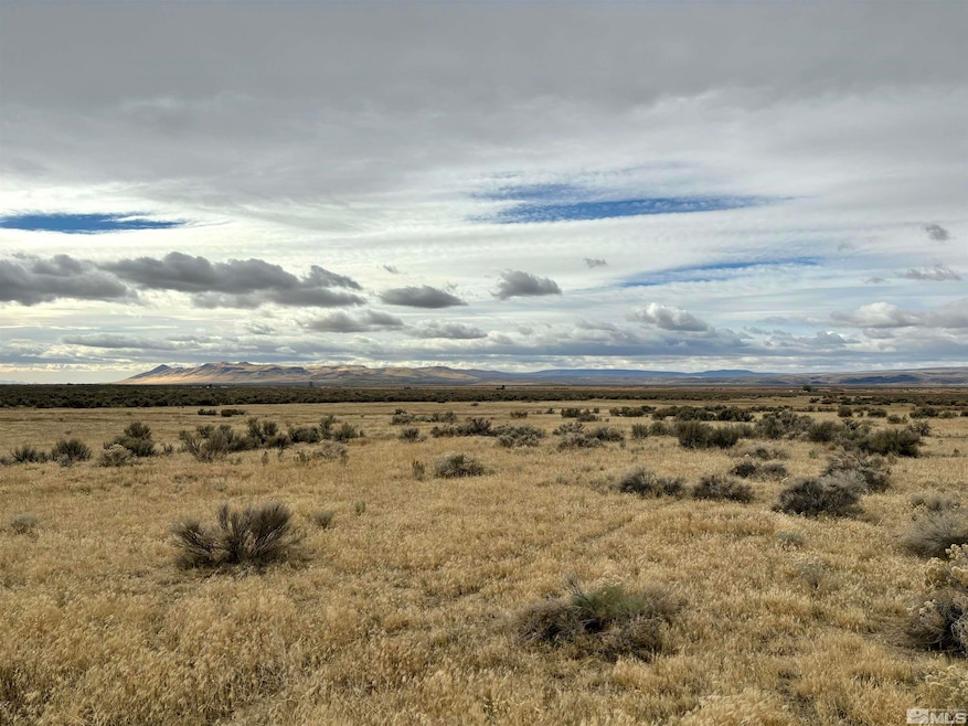 03074117 Mcdermitt, McDermitt, NV 89421 - photo 1