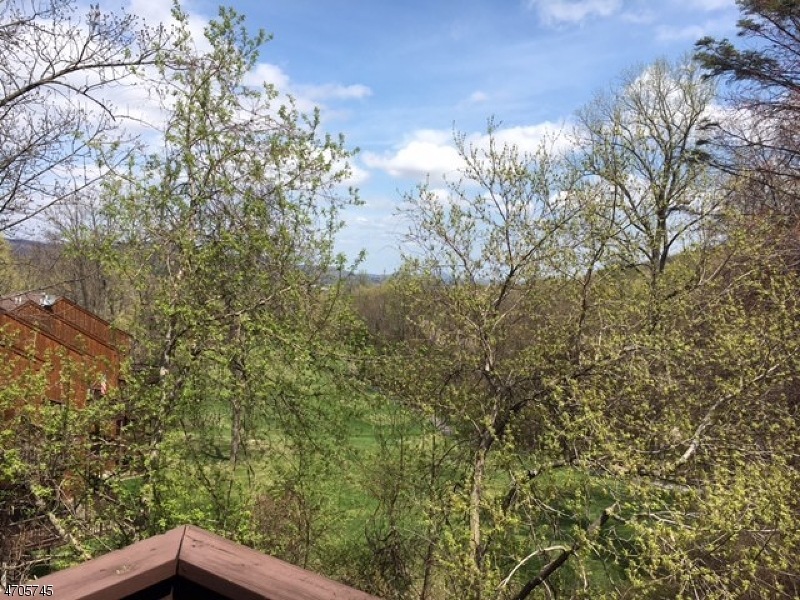 4 Baily Bunions Pl Unit 4 unit 4, Vernon Twp., NJ 07462 - photo 1