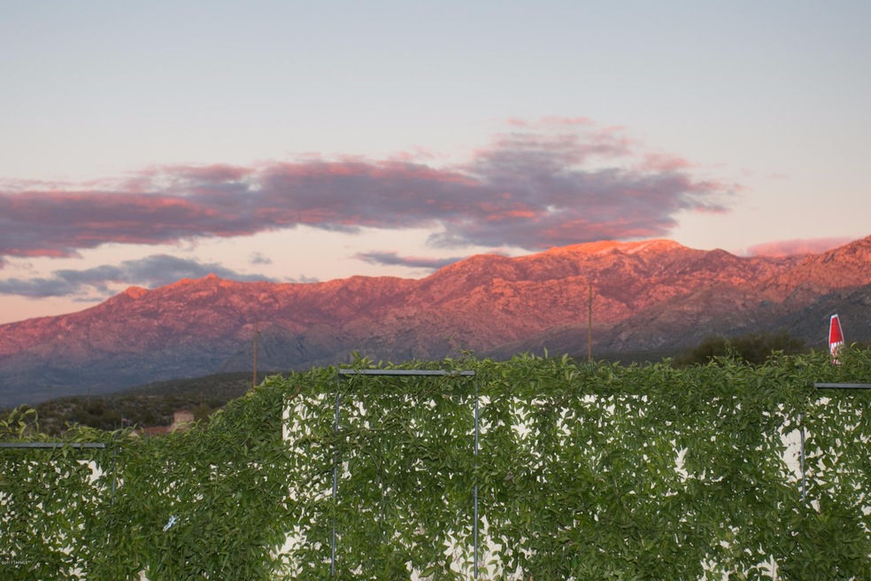 10000 N Roxbury Dr, Tucson, AZ 85737 - photo 1