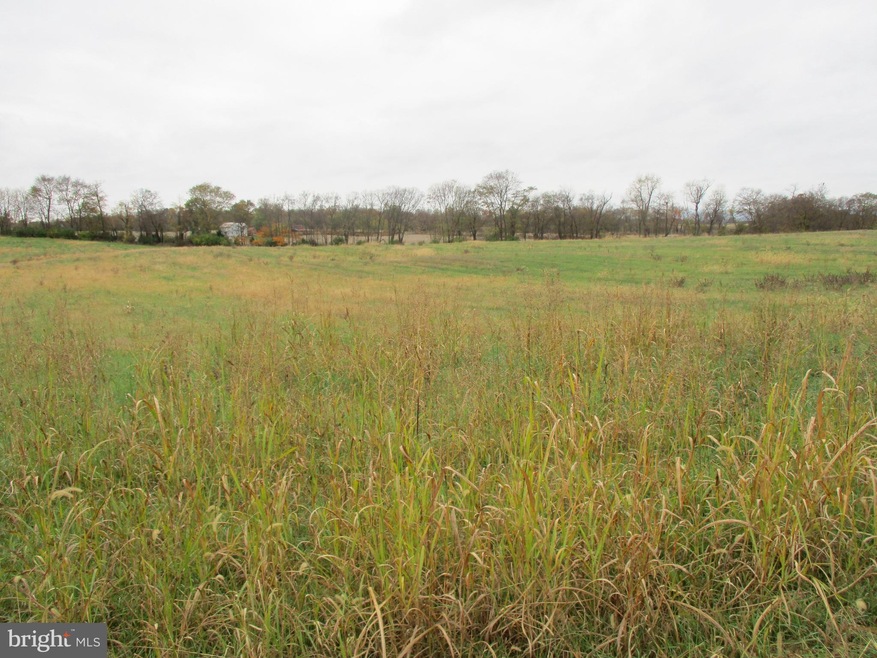 Lot 25 B Swan Pond Rd, Tuscarora, WV 25404 - photo 1