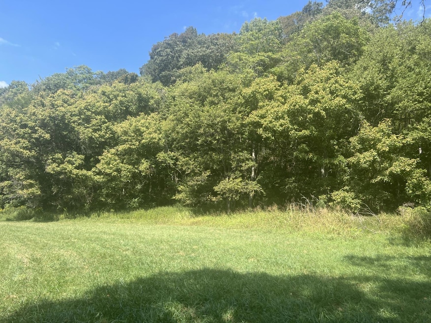 9127 Indiana 56, Vevay, IN 47043 - photo 1