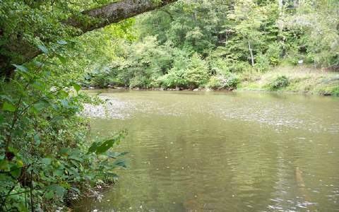 1714 Fugue Dr, Ellijay, GA 30540 - photo 1