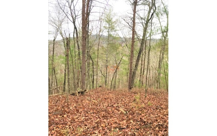 L1719 Rebekah Ridge Rd, Talking Rock, GA 30175 - photo 1