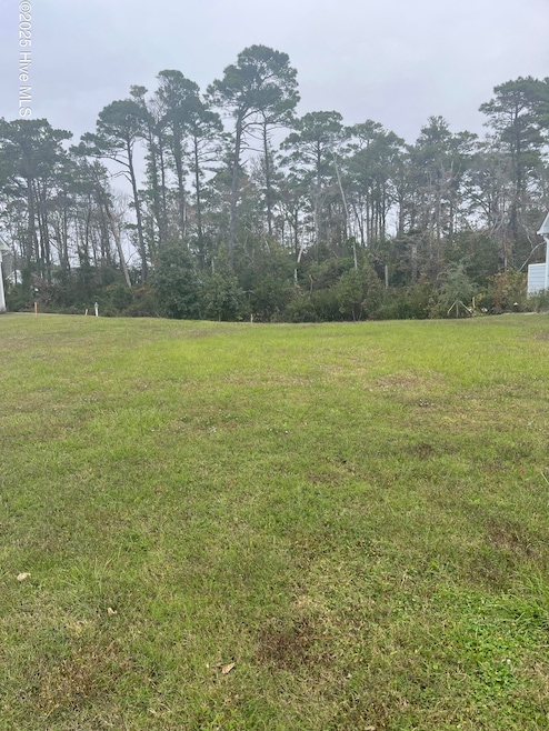 451 Freedom Park, Beaufort, NC 28516 - photo 1