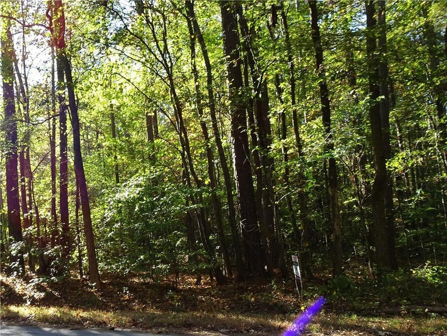 View of local wilderness