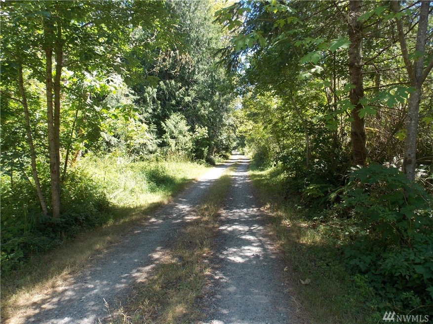 15247 Runyon Rd SE, Rainier, WA 98576 - photo 1