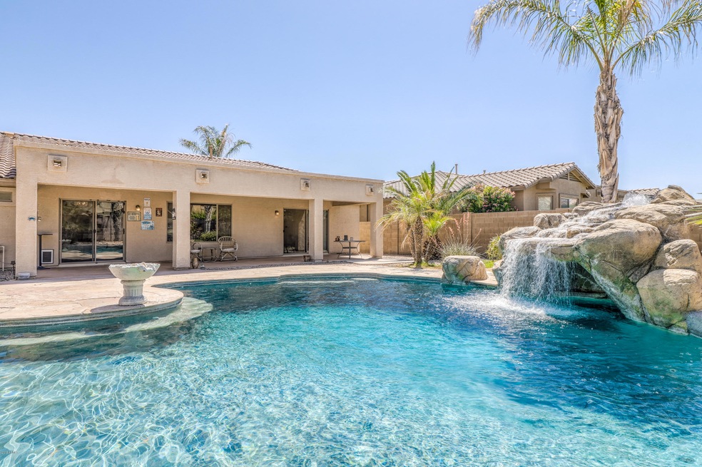 20 Backyard