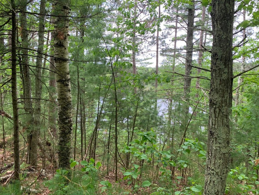 Lot 4 Somo Ridge Dr, Tomahawk, WI 54487 - photo 1