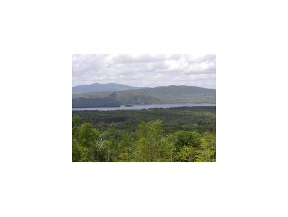 14 Ridge View Dr, Bristol, NH 03222 - photo 1