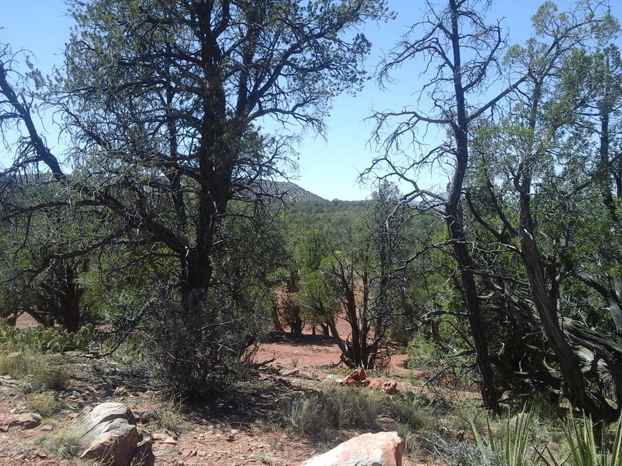Lot 222a Juniperwood Ranch Unit 2, Ash Fork, AZ 86320 - photo 1