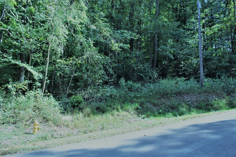 Lot 10b photo