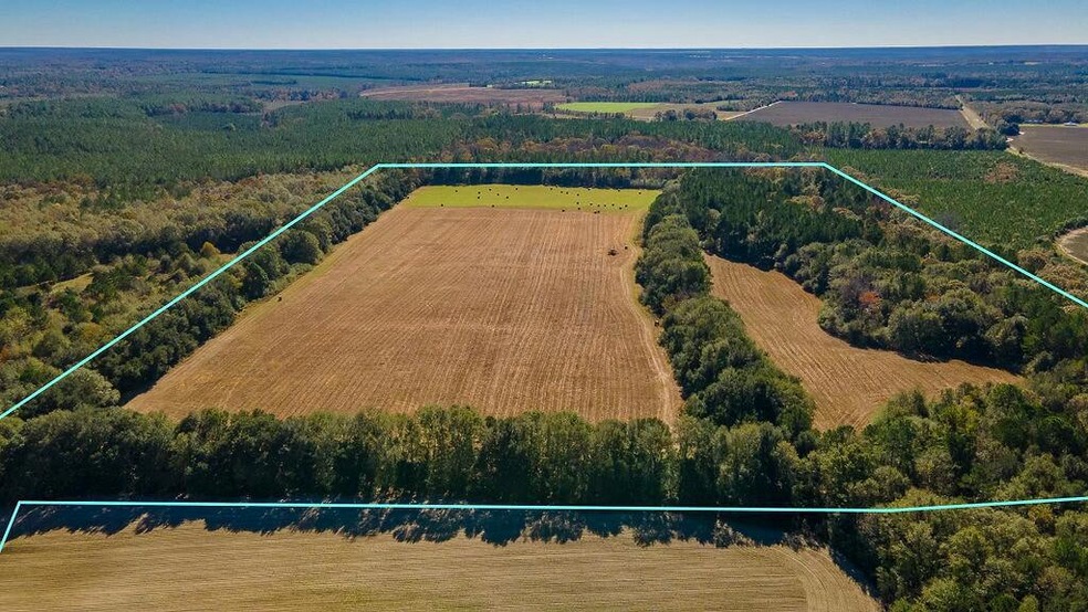 Approx 53.86 Acres