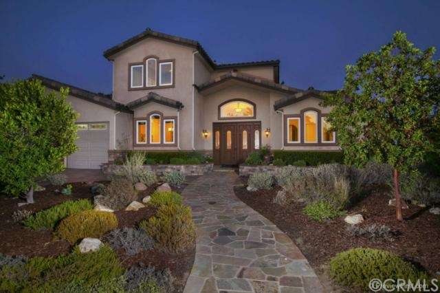 Native, low water landscaping. 