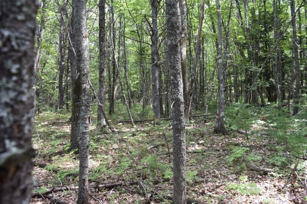 289 Wire Rd, Wells, ME 04090 - photo 1