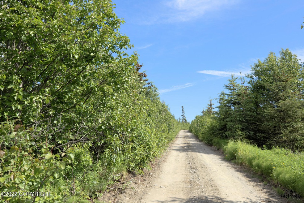 C4 Alaskan Wildwood Ranch(r)
