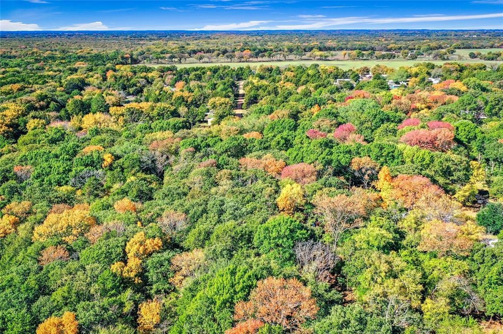 245 Bluebird Ln, Sadler, TX 76264 - photo 1