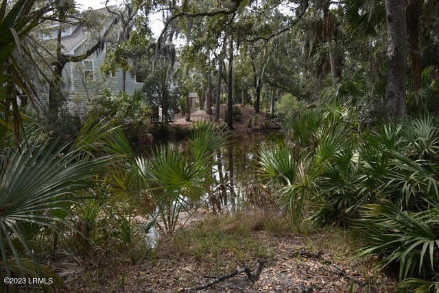 View of Pond