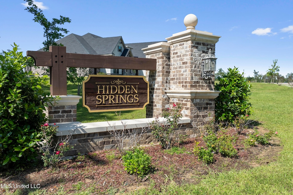 Hidden Springs Entrance