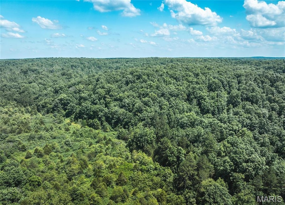 0 Highway B 51 unit MAR24075681, Ellington, MO 63638 - photo 1