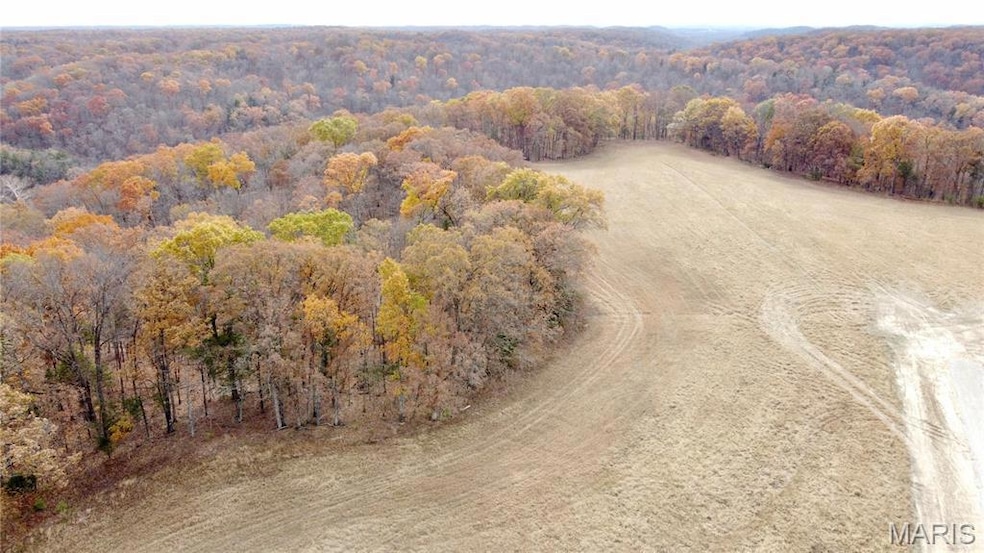Tract 8 Polston Ln, Hickory Grove Township, MO 63357 - photo 1