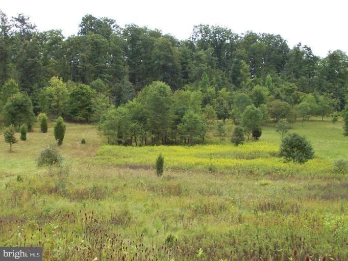 12309 Indian Springs Rd, Clear Spring, MD 21722 - photo 1