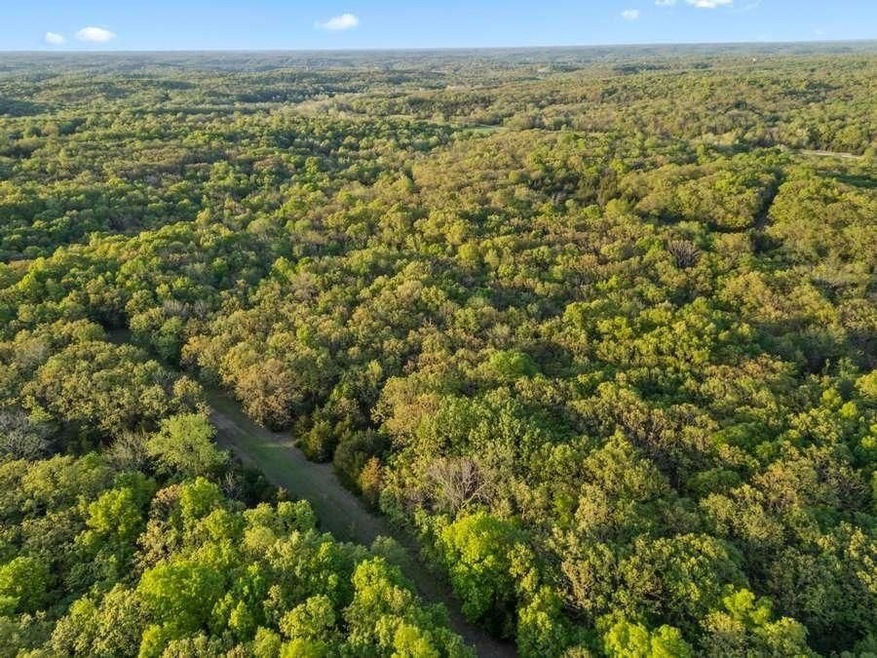 Winarsky Cir Ofc unit Edwards MO 65326, Hastain, MO 65326 - photo 1