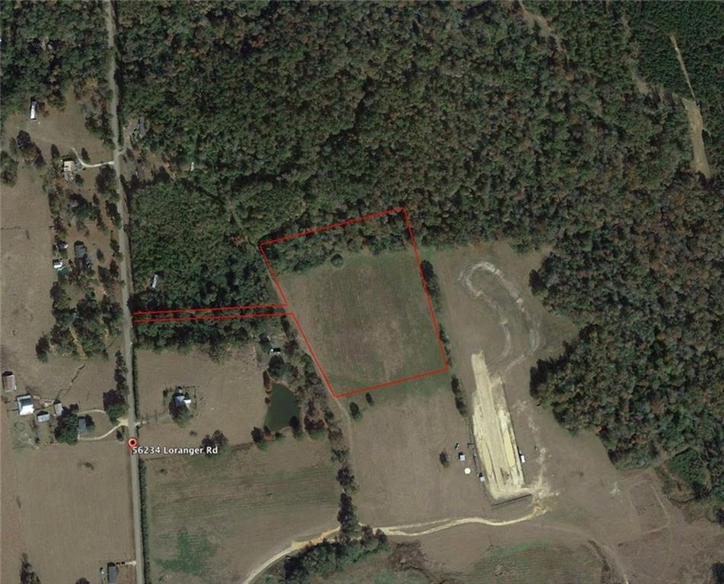 Google Earth Image (Outline)