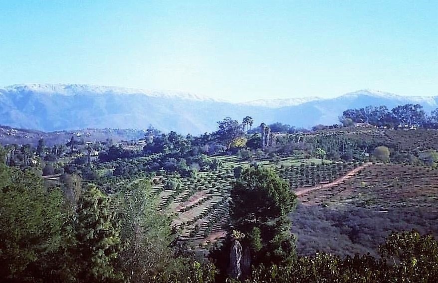 31832 Rocking Horse Rd, Escondido, CA 92026 - photo 1