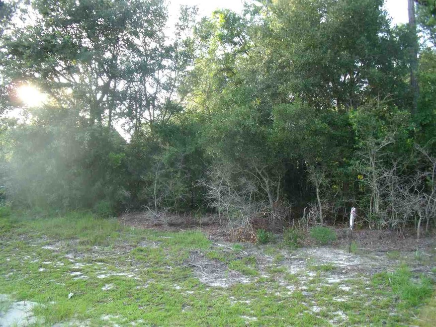 0 Evans Ave unit 283298, Crawfordville, FL 32327 - photo 1