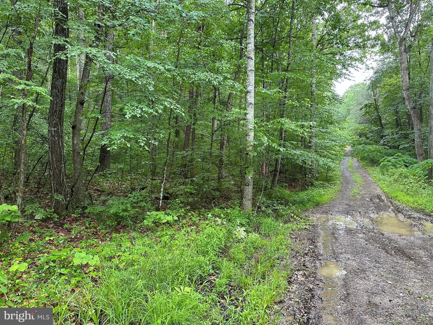 TBD Forest Dr, District 1, VA 22844 - photo 1
