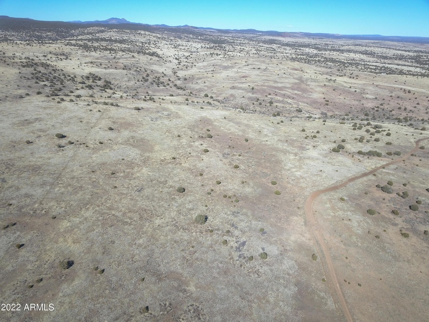 DJI_0001