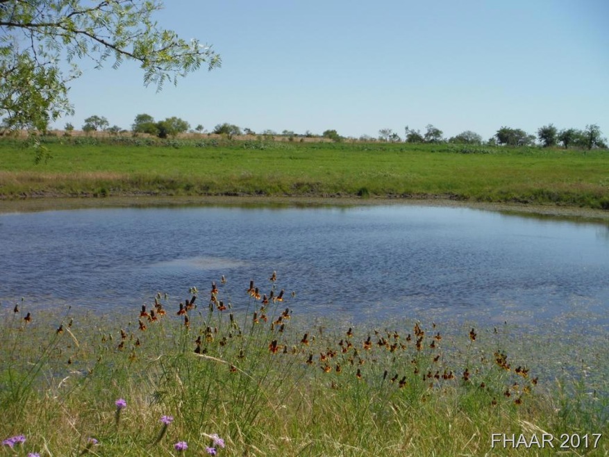 Tract 8 Private Road 3642, Kempner, TX 76522 - photo 1
