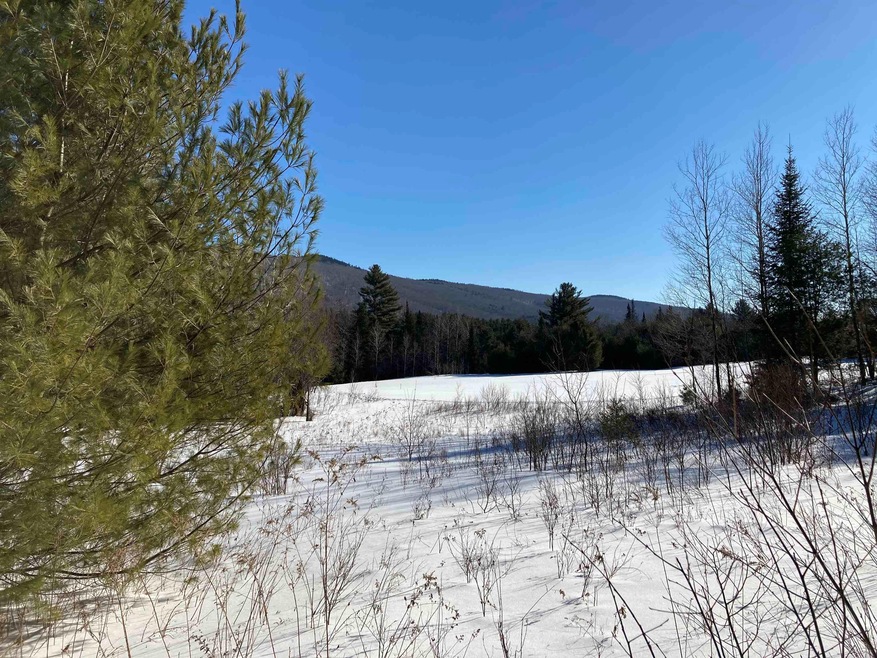 0 Nh Route 118 unit 4896849, Canaan, NH 03741 - photo 1