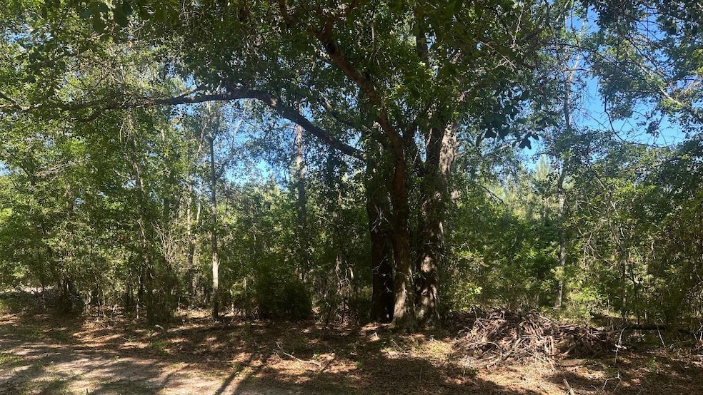 0 Dorsey Clark Rd unit 23736139, Sylvania, GA 30467 - photo 1