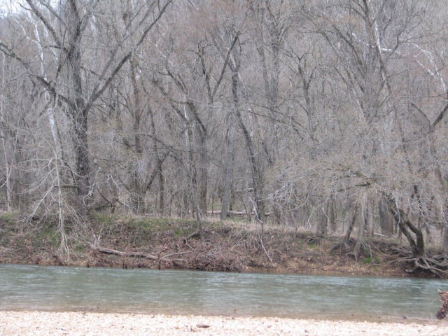 Primary Photo