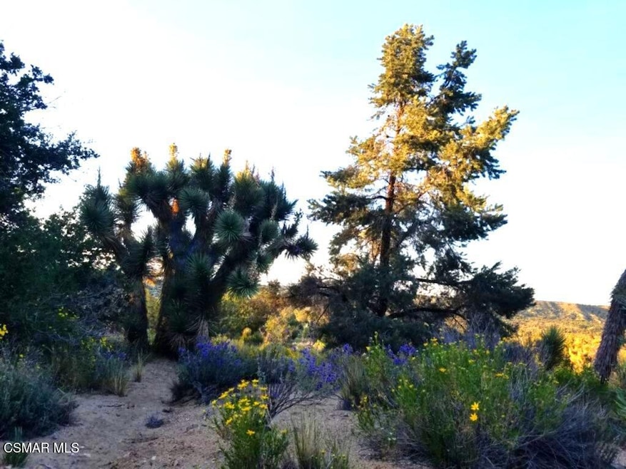 0 W Panorama unit 225005664, Llano, CA 93544 - photo 1