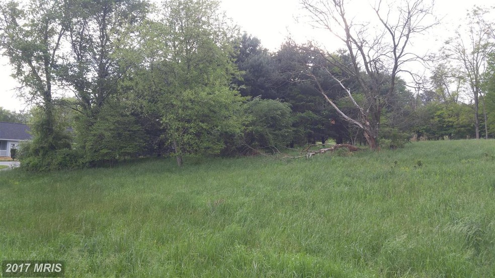 12626 Ivy Mill Rd, Reisterstown, MD 21136 - photo 1