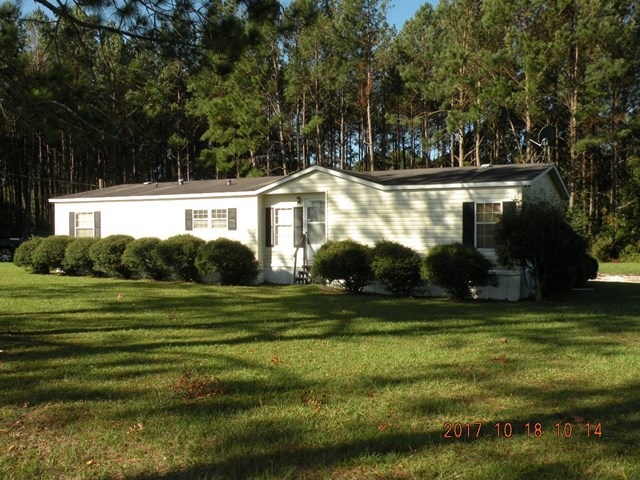 Main View