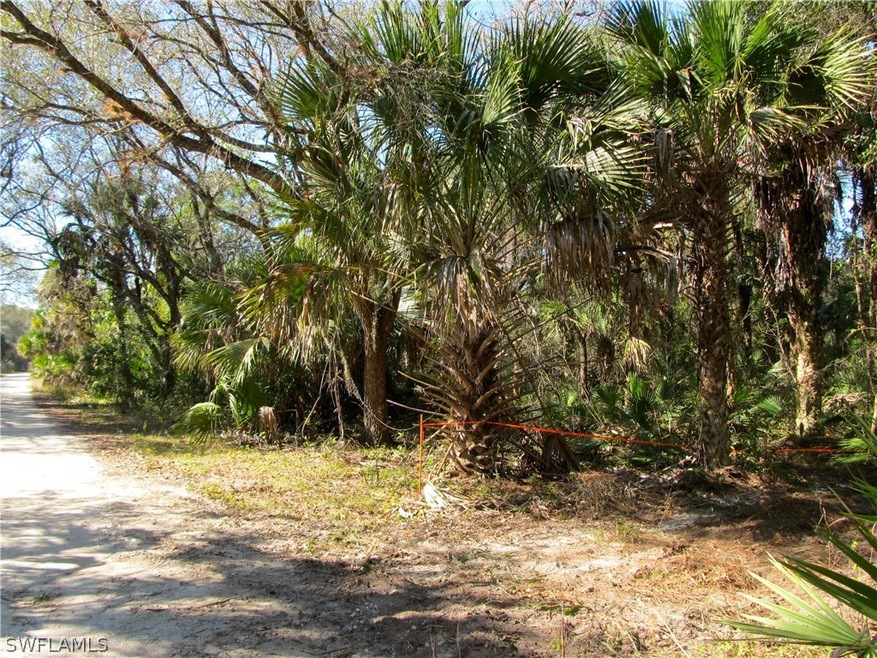 3751 Bateman Rd, Alva, FL 33920 - photo 1