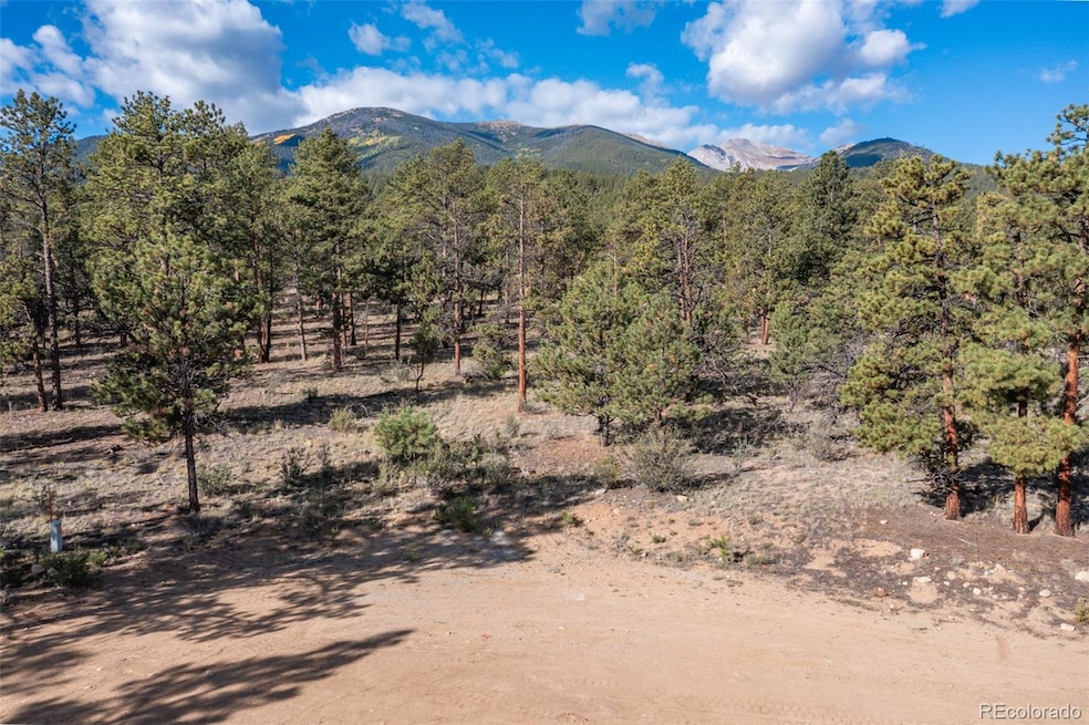 30664 Gray Jay Draw unit 27, Buena Vista, CO 81211 - photo 1