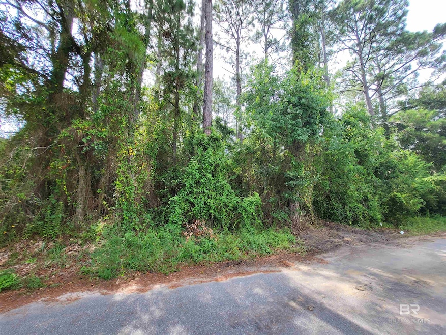 Lot 16 & 17 Wallace Cir unit 16&17 / 7, Gulf Shores, AL 36542 - photo 1