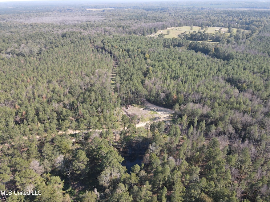 The Copiah 222