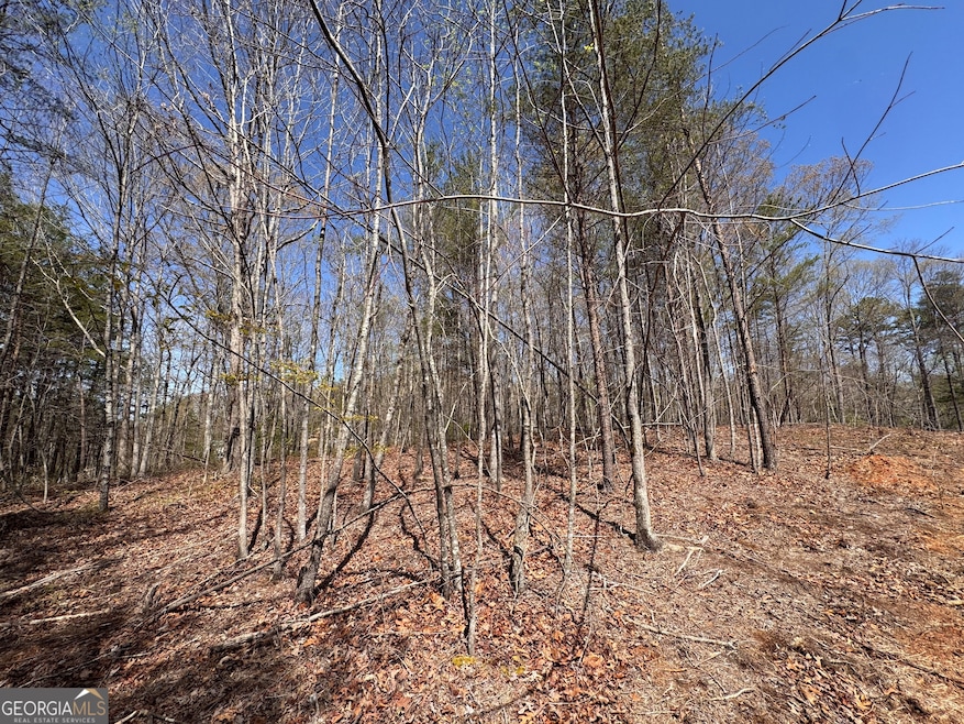 0 Highway 129 N unit 10656269, Cleveland, GA 30528 - photo 1