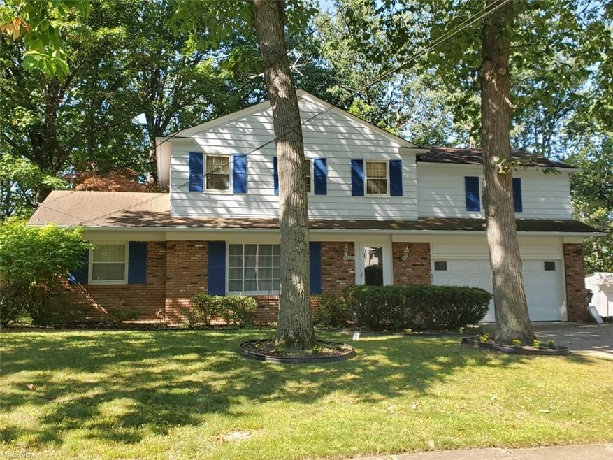 FAMILY COLONIAL