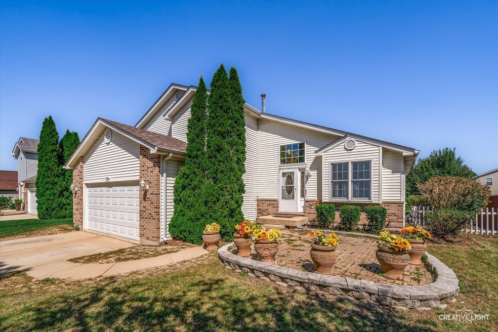 1504 Lasser Dr, Plainfield, IL 60586 - photo 1