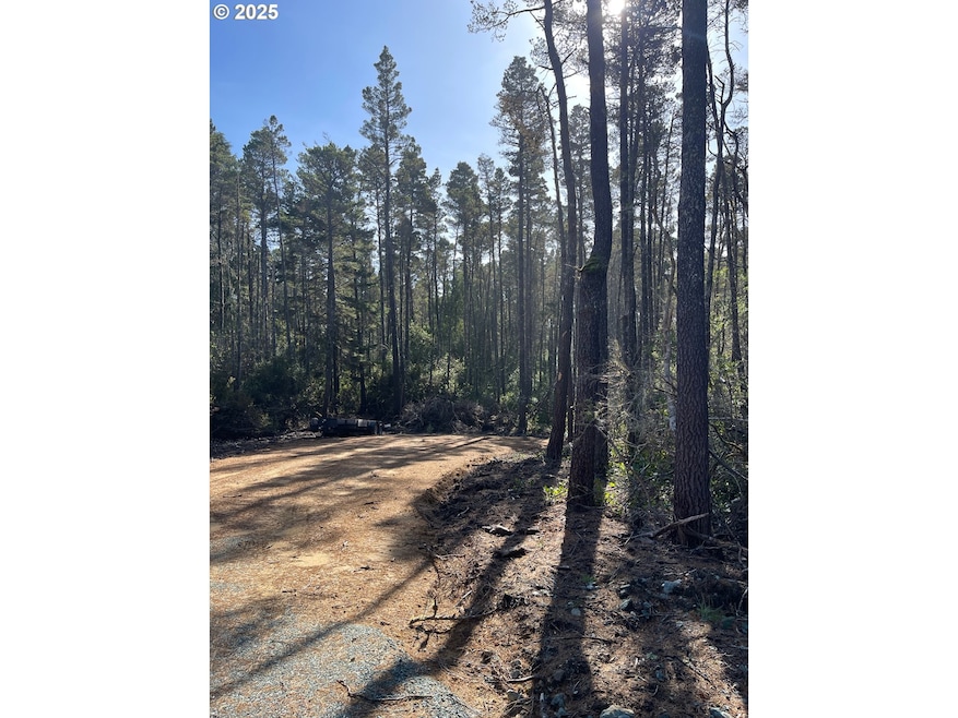 0 E Jupiter Ln unit 1202 738205258, Bandon, OR 97411 - photo 1